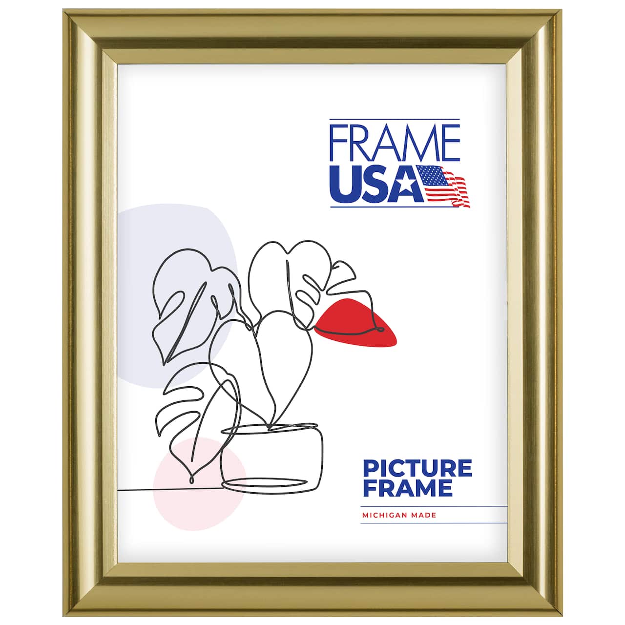 Frame USA Deluxe Poster Gold Single Image Picture Frame